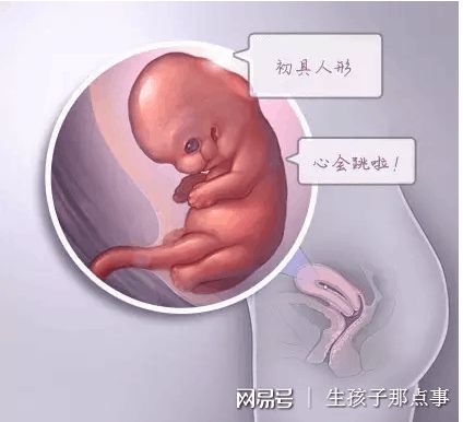 陈思远
